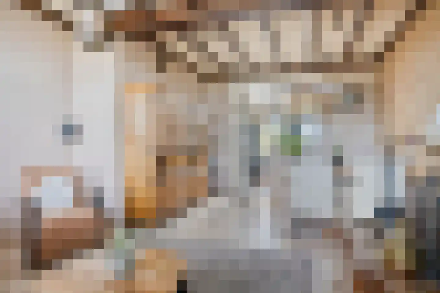 Waaijenbergstraat 3 Zundert thumbnail 13