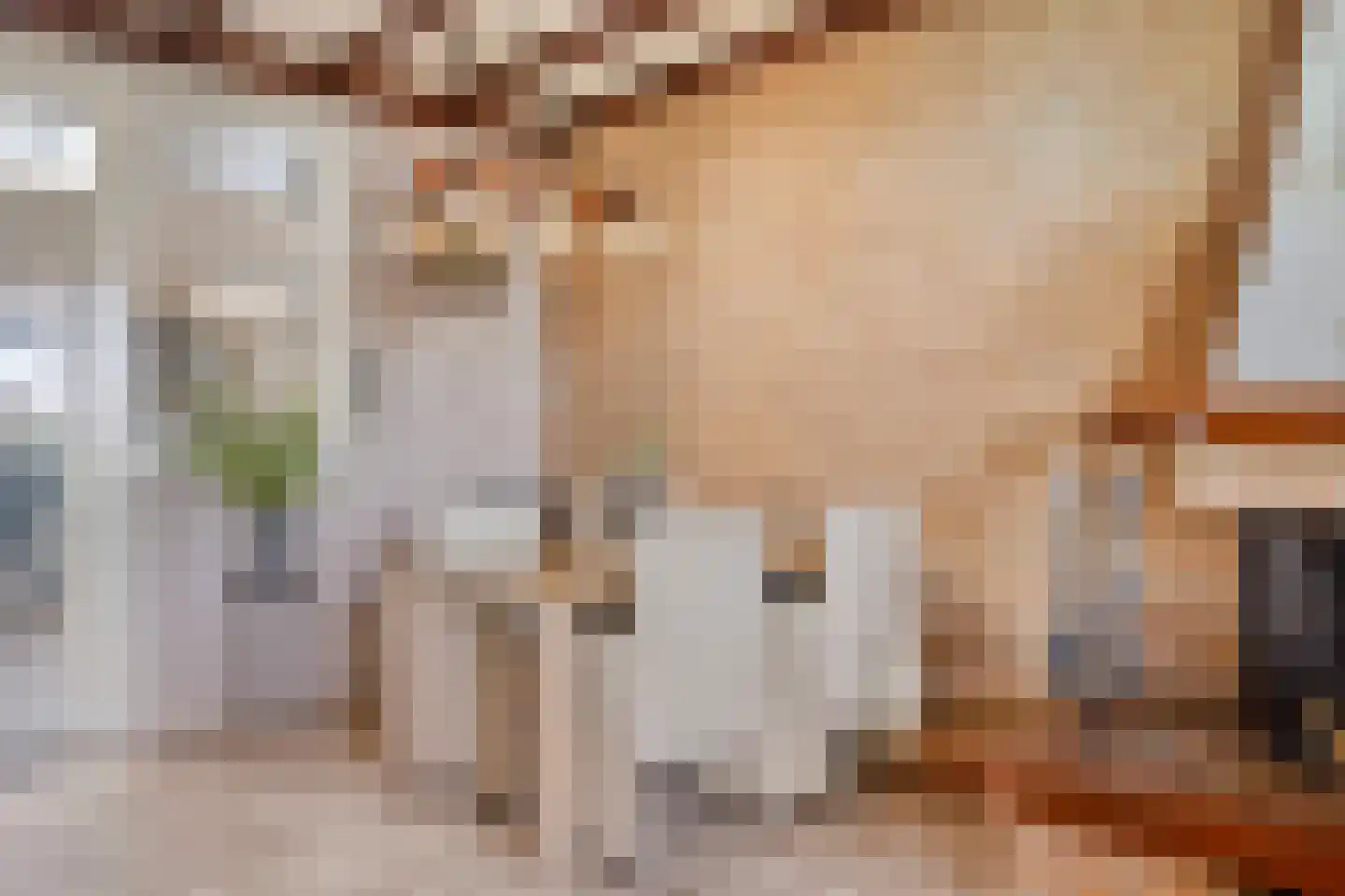 Waaijenbergstraat 3 Zundert thumbnail 15