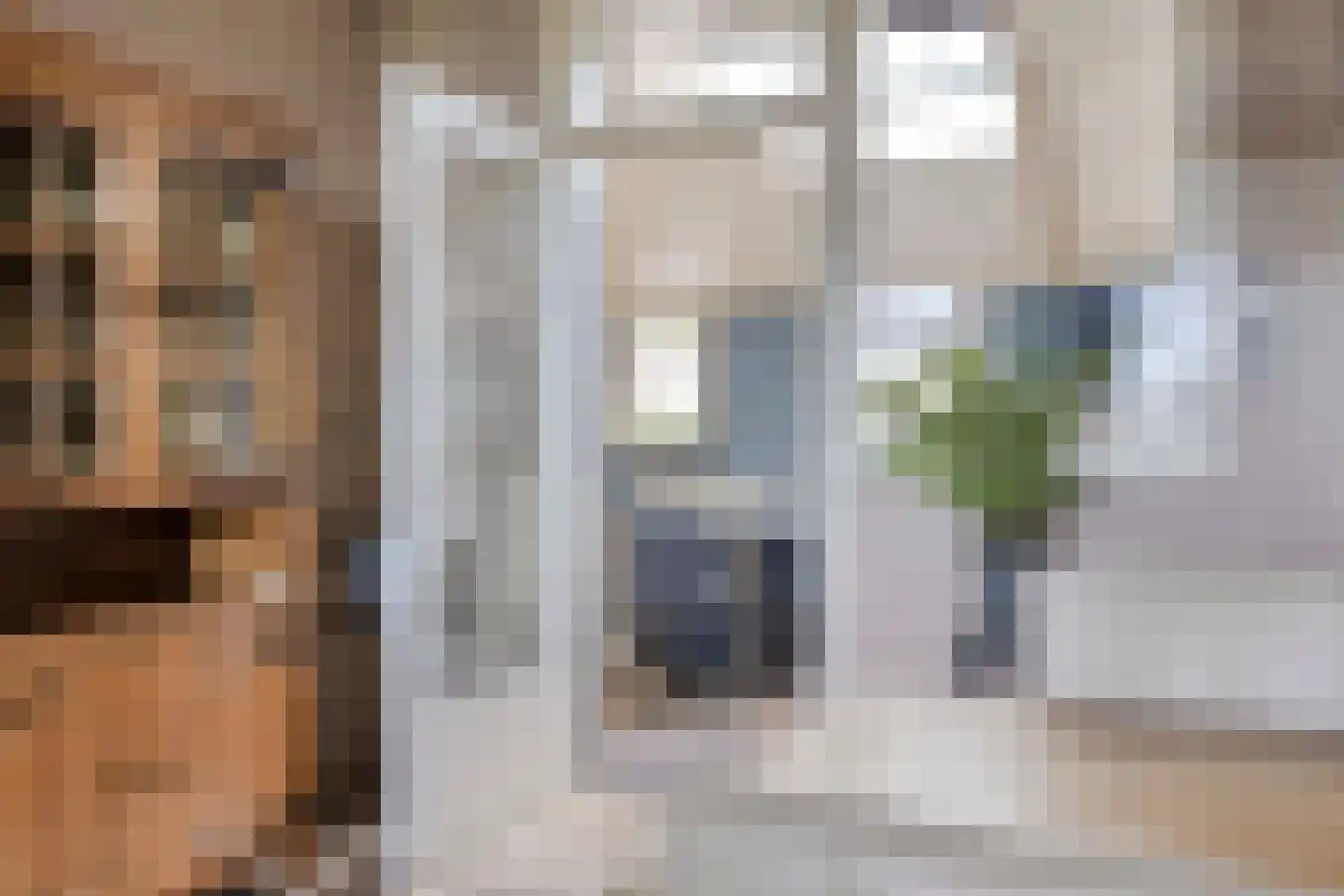 Waaijenbergstraat 3 Zundert thumbnail 16