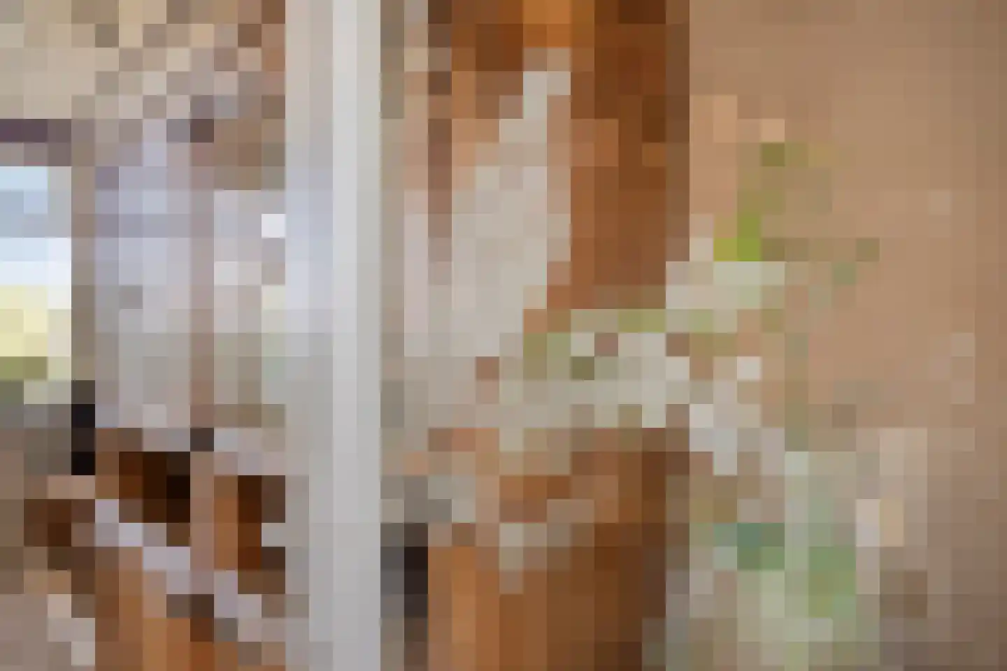 Waaijenbergstraat 3 Zundert thumbnail 17