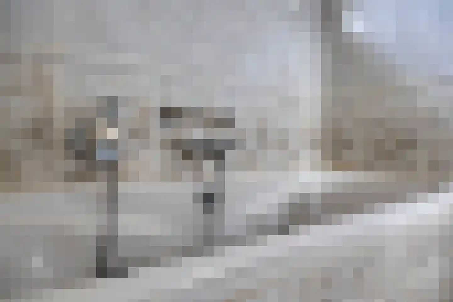 Waaijenbergstraat 3 Zundert thumbnail 25