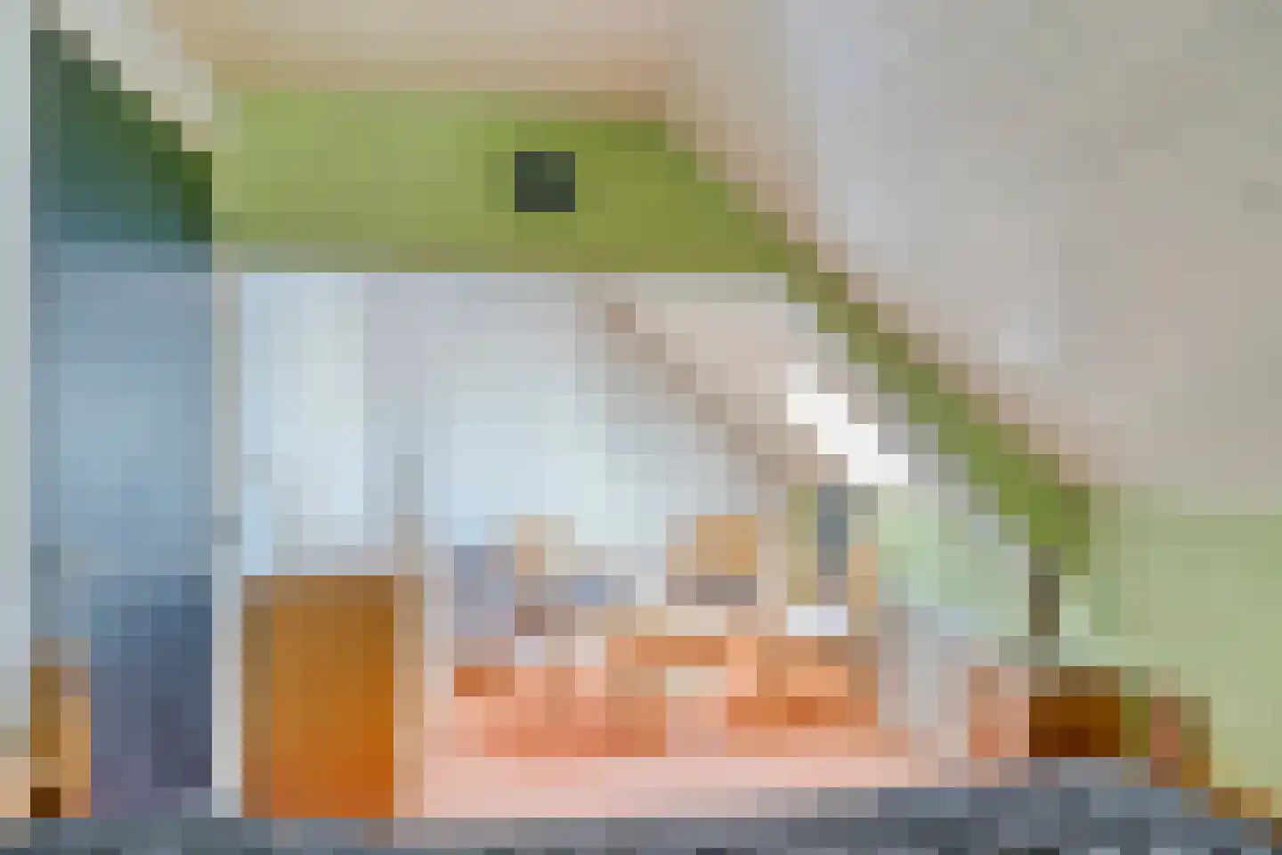 Waaijenbergstraat 3 Zundert thumbnail 36