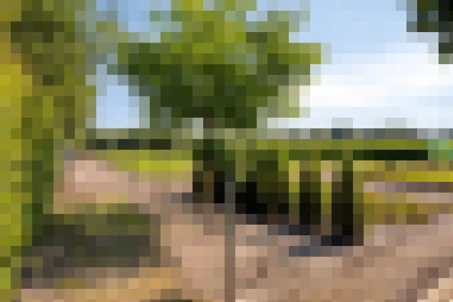 Waaijenbergstraat 3 Zundert thumbnail 45