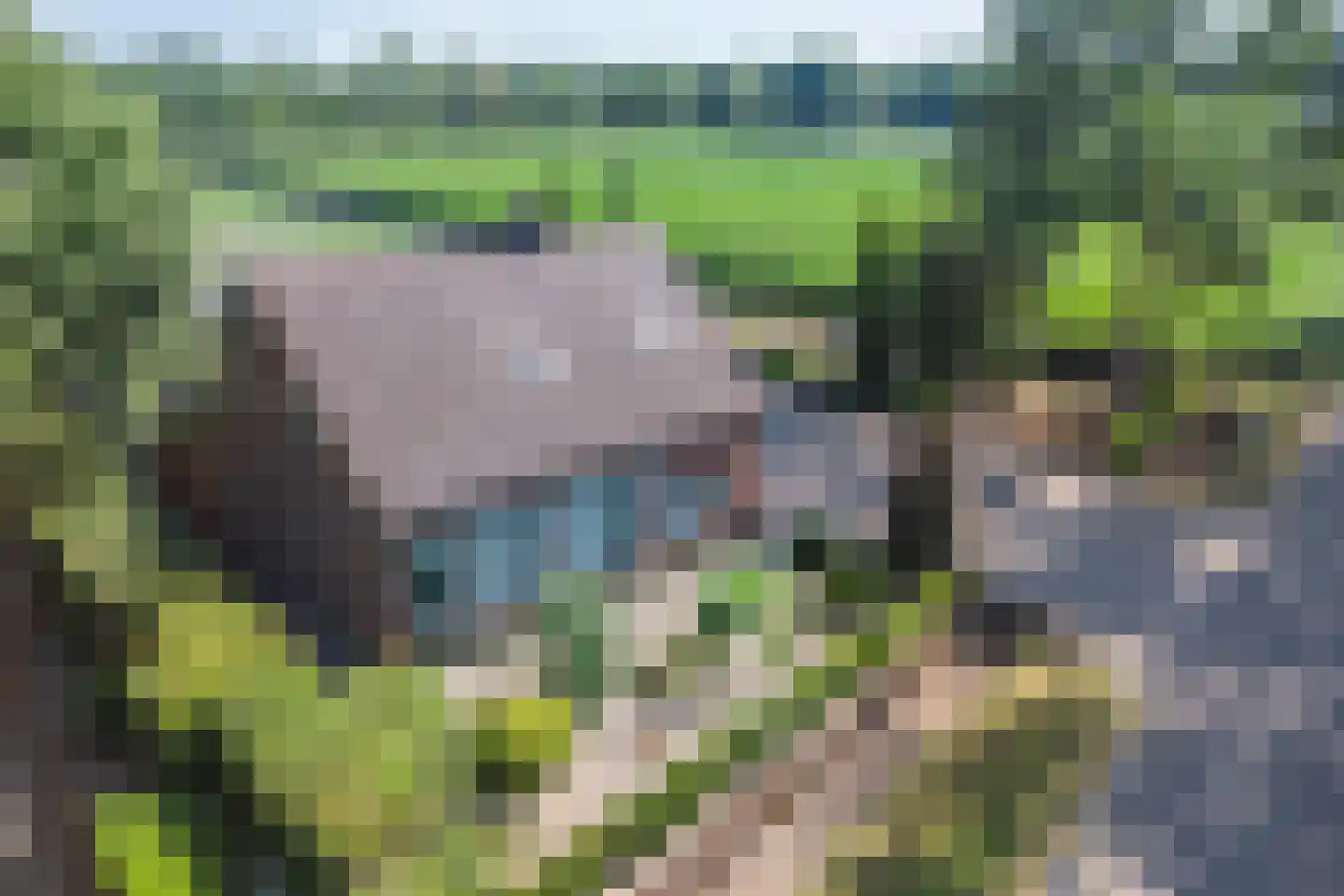 Waaijenbergstraat 3 Zundert thumbnail 49