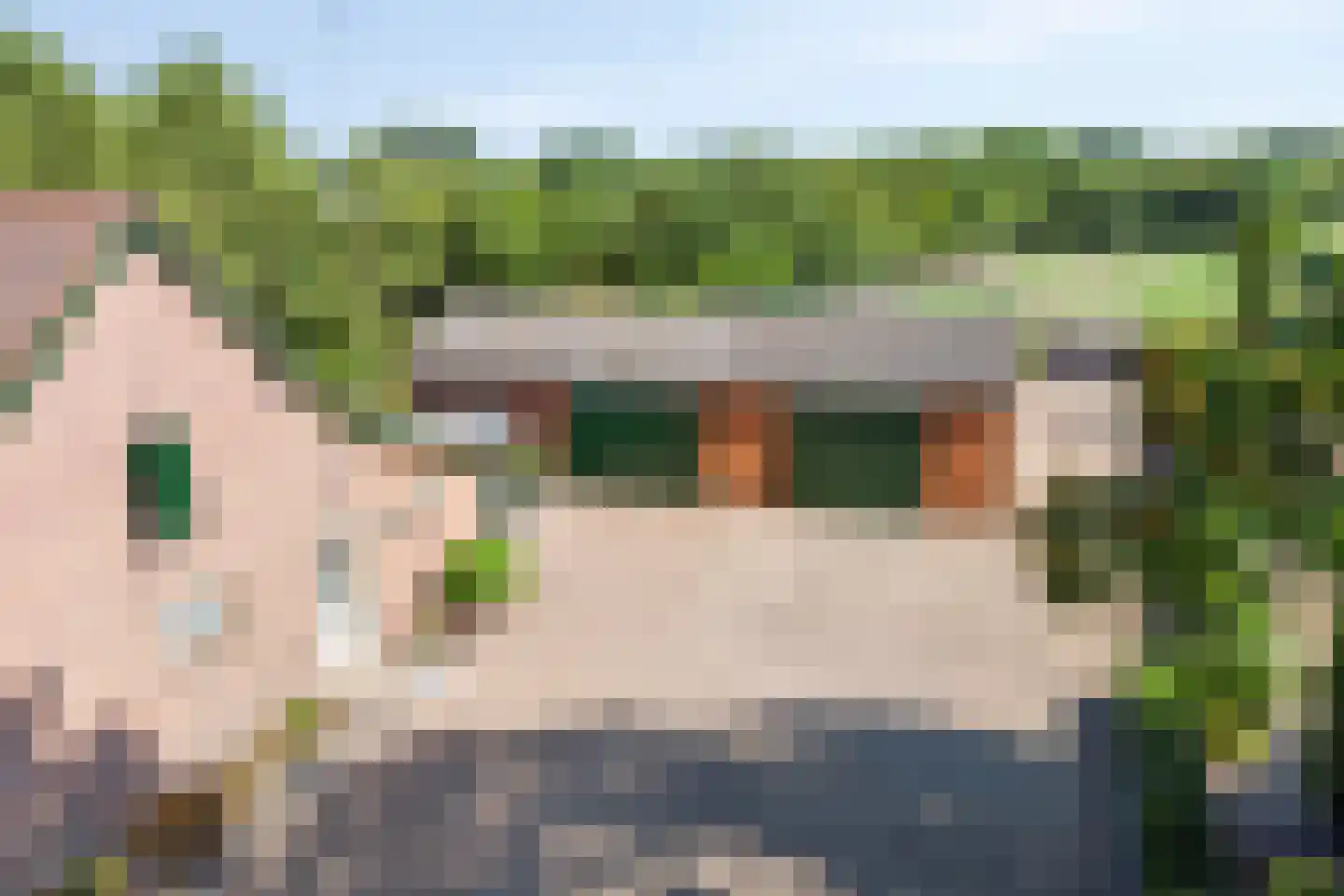 Waaijenbergstraat 3 Zundert thumbnail 53