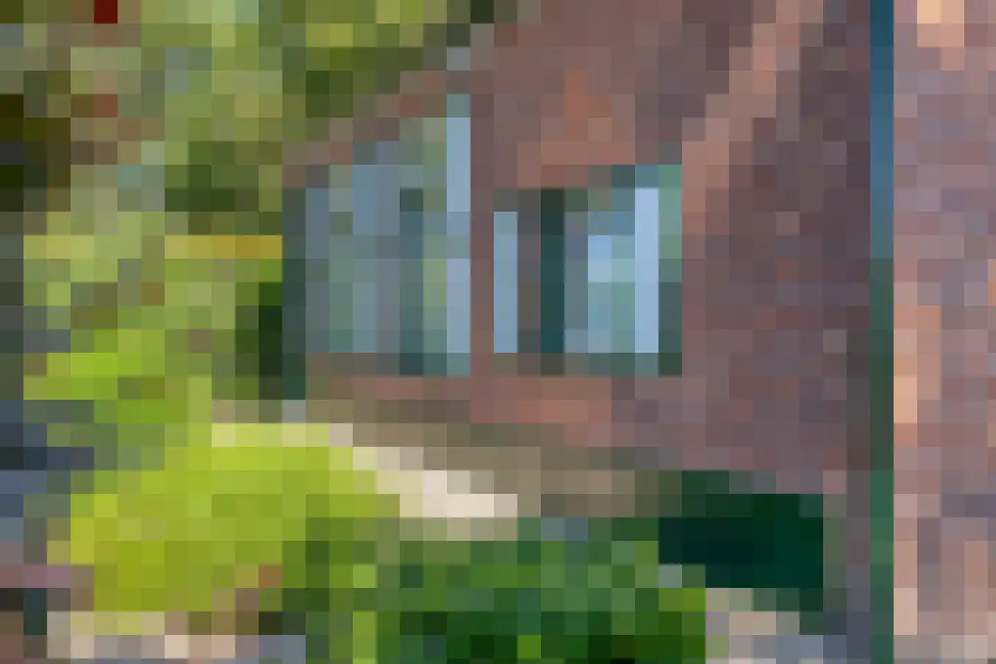 Waaijenbergstraat 3 Zundert thumbnail 54