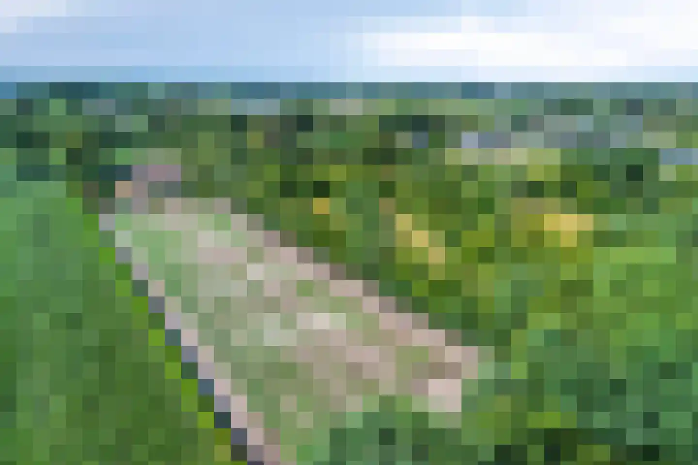 Waaijenbergstraat 3 Zundert thumbnail 8