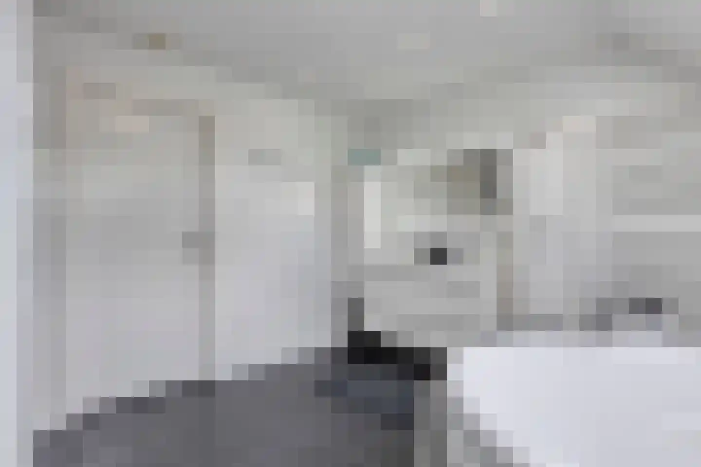 Waaijenbergstraat 31 Zundert thumbnail 22