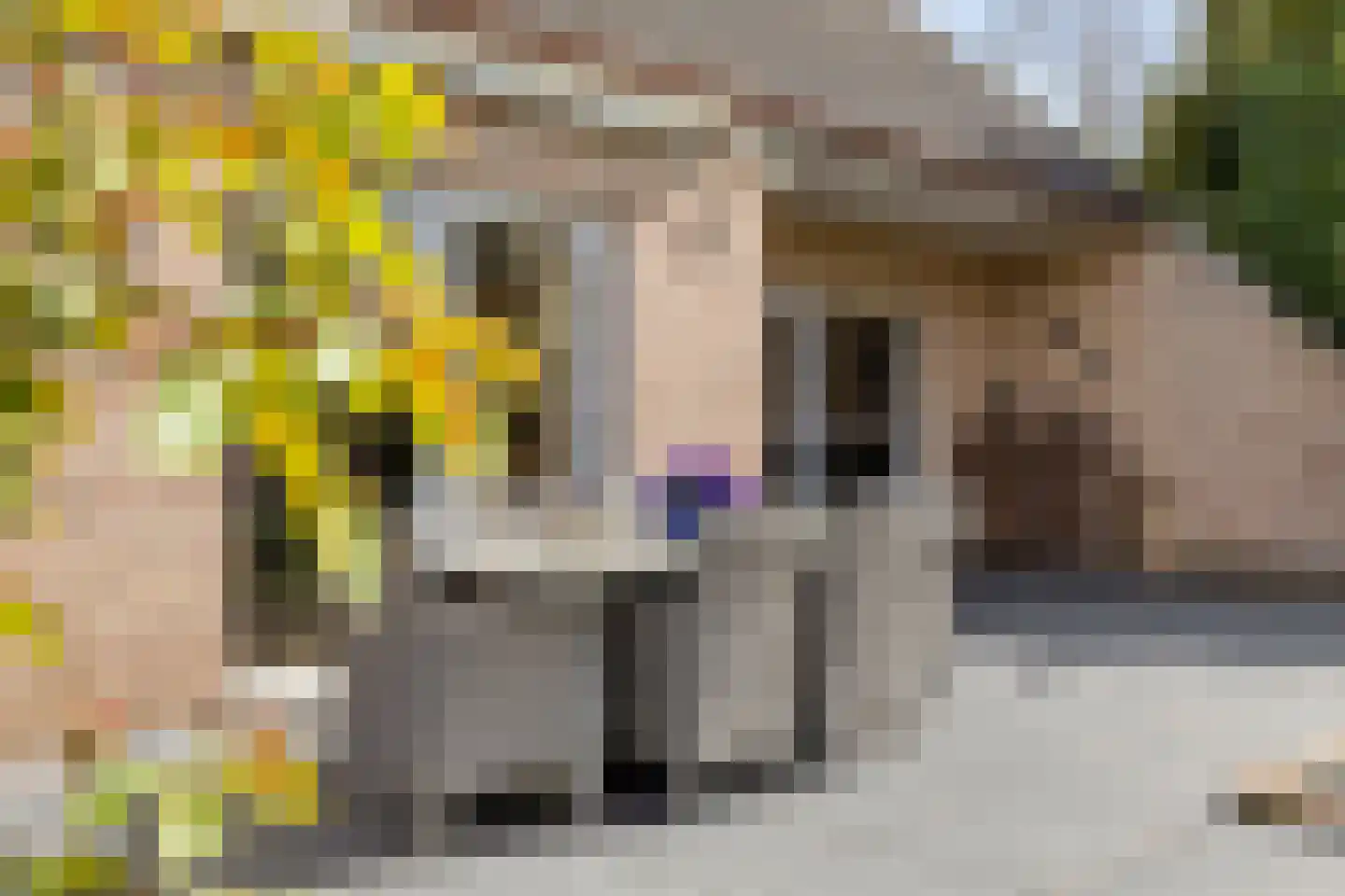 Waaijenbergstraat 31 Zundert thumbnail 27