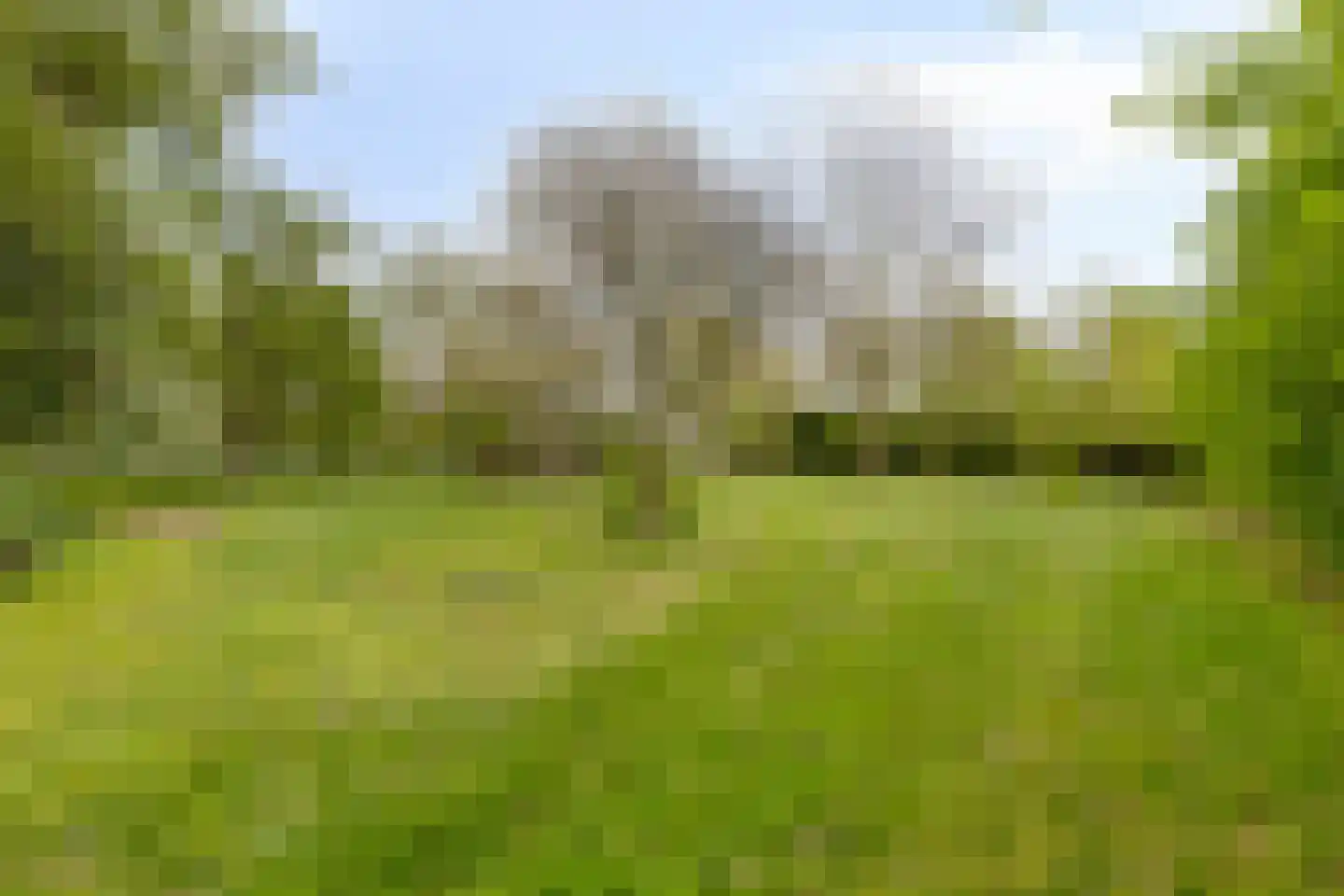 Waaijenbergstraat 31 Zundert thumbnail 33