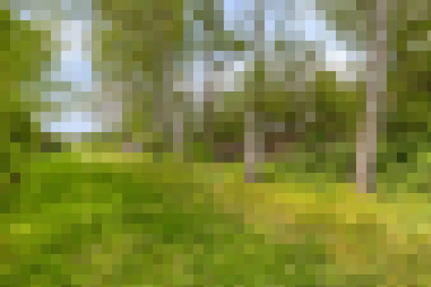 Waaijenbergstraat 31 Zundert thumbnail 34