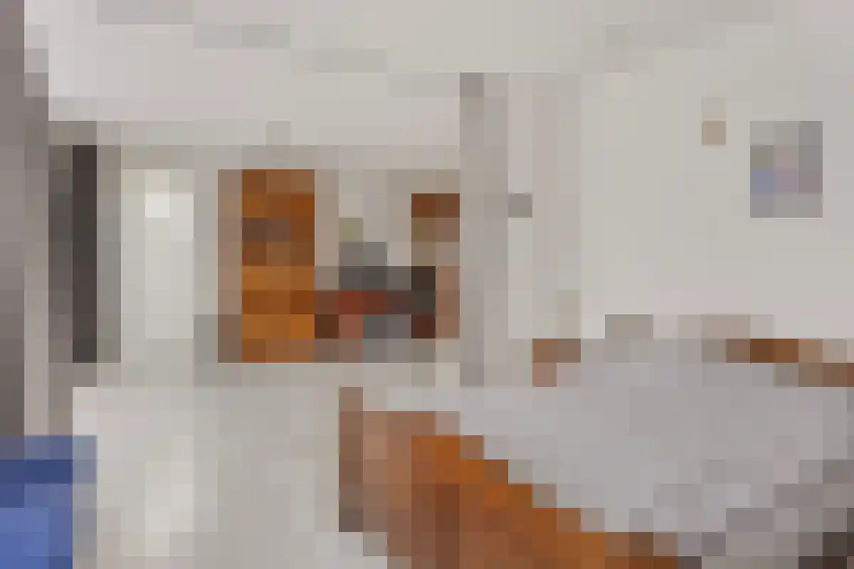 Waaijenbergstraat 5 a Zundert thumbnail 15