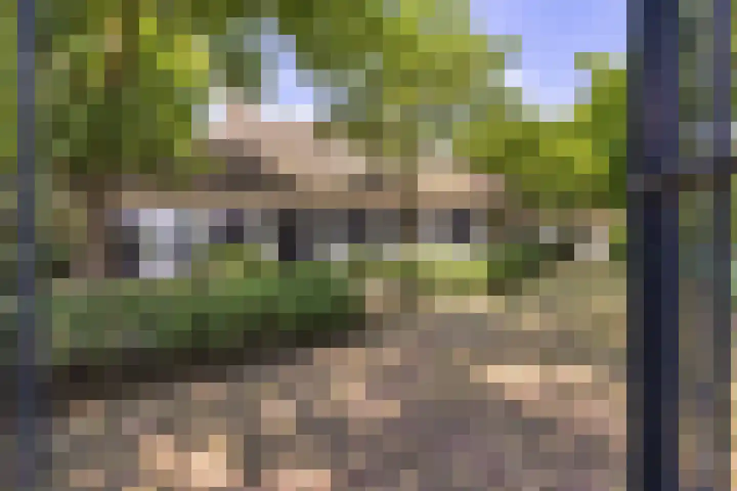 Waaijenbergstraat 5 Zundert thumbnail 10