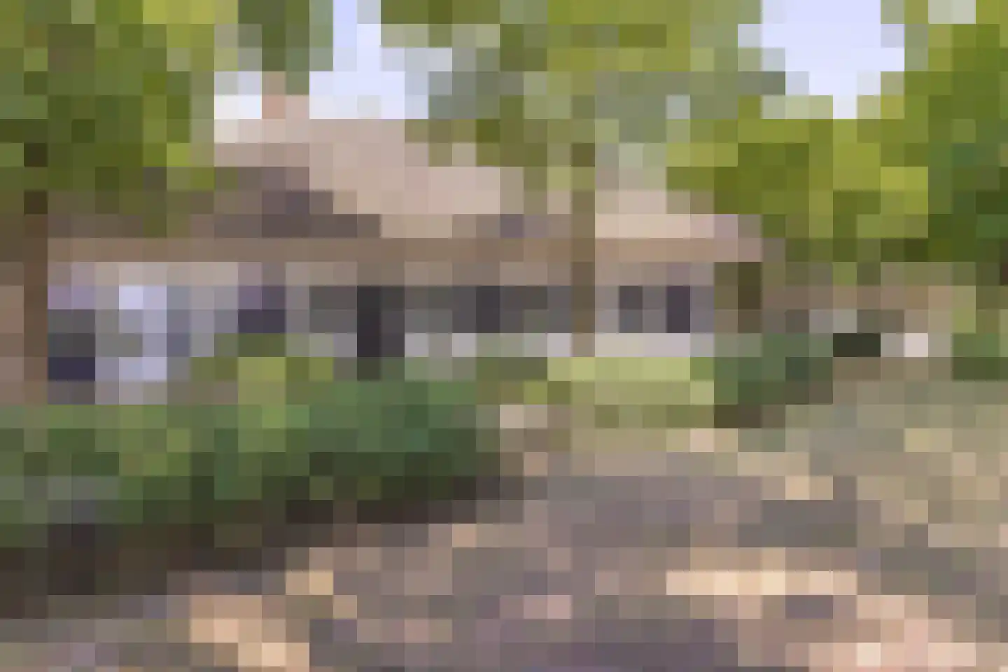 Waaijenbergstraat 5 Zundert thumbnail 11