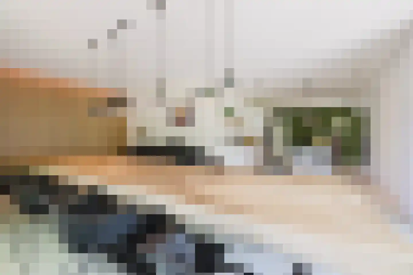 Waaijenbergstraat 5 Zundert thumbnail 15