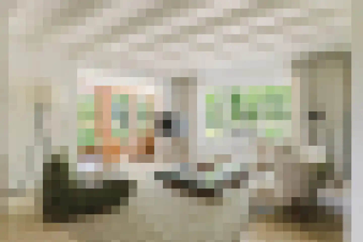 Waaijenbergstraat 5 Zundert thumbnail 17