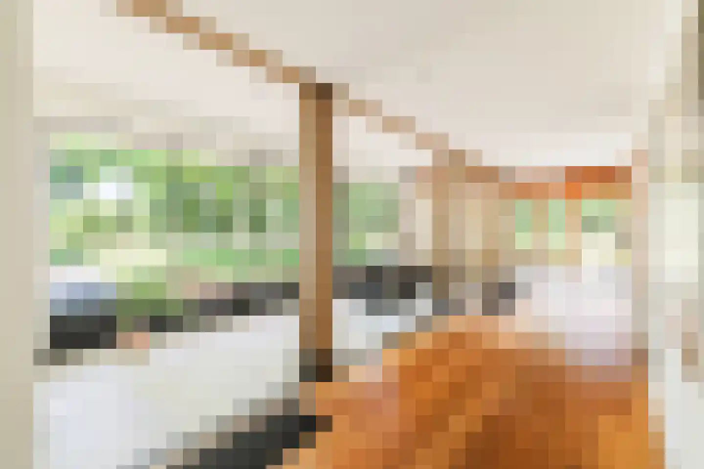 Waaijenbergstraat 5 Zundert thumbnail 19
