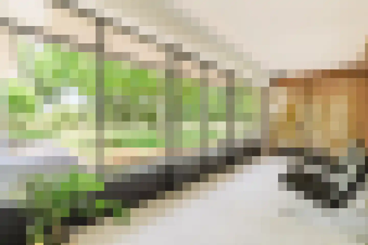 Waaijenbergstraat 5 Zundert thumbnail 20