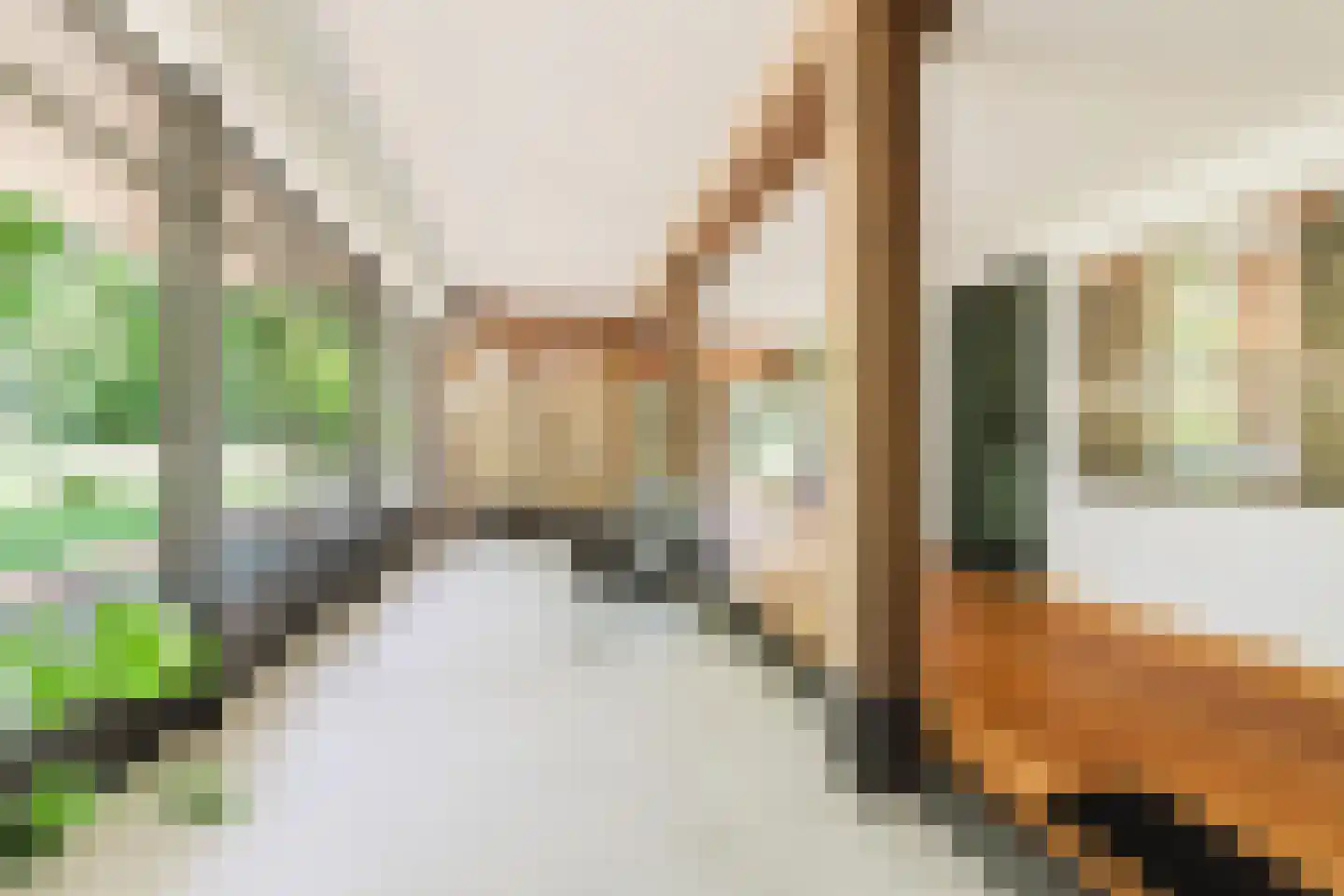 Waaijenbergstraat 5 Zundert thumbnail 21