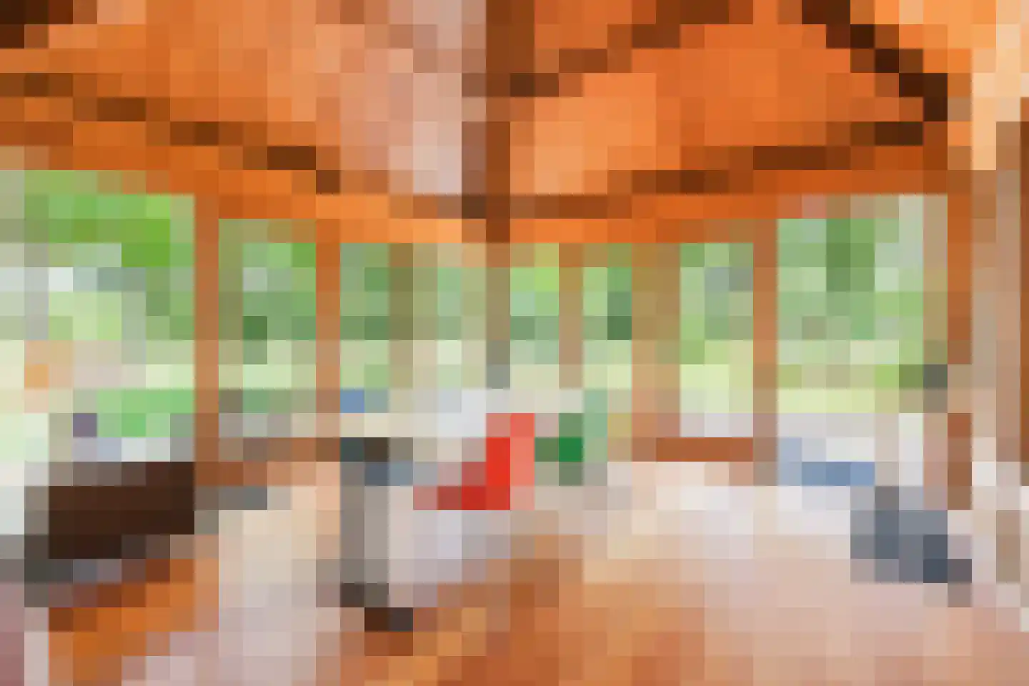 Waaijenbergstraat 5 Zundert thumbnail 22