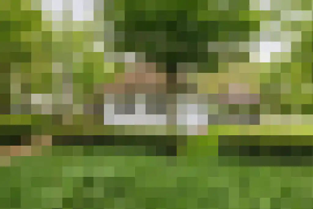 Waaijenbergstraat 5 Zundert thumbnail 24
