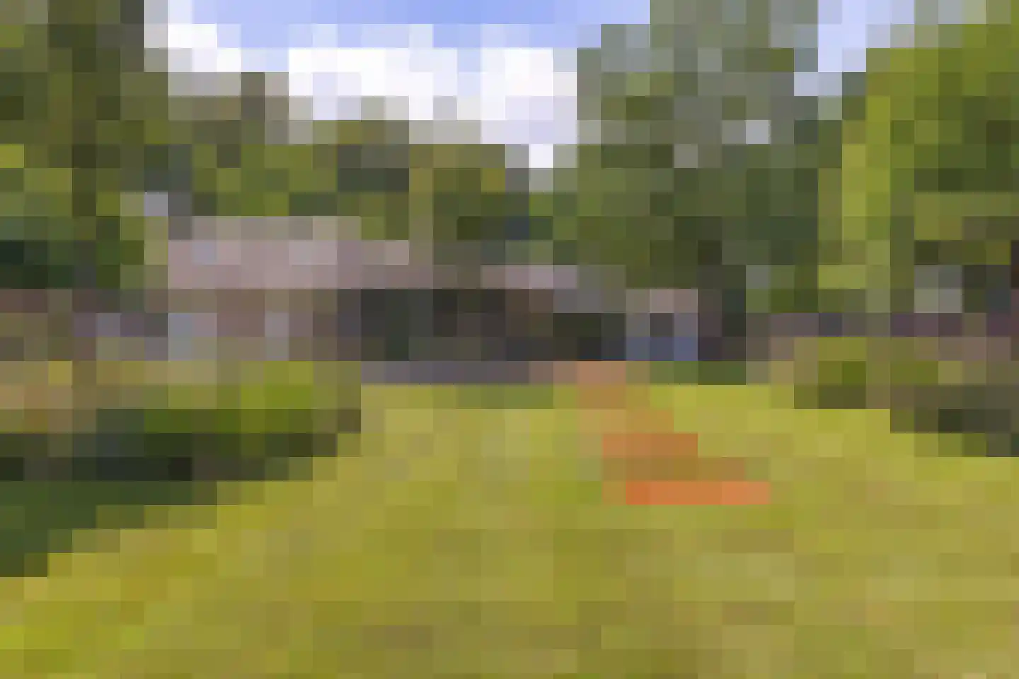 Waaijenbergstraat 5 Zundert thumbnail 25