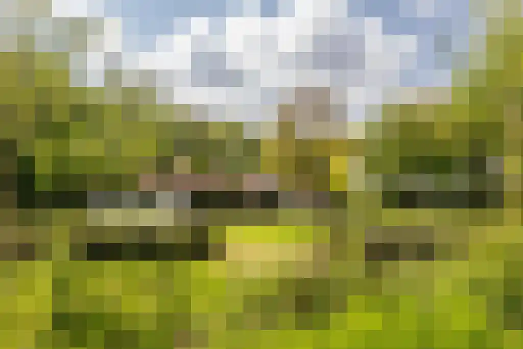 Waaijenbergstraat 5 Zundert thumbnail 27