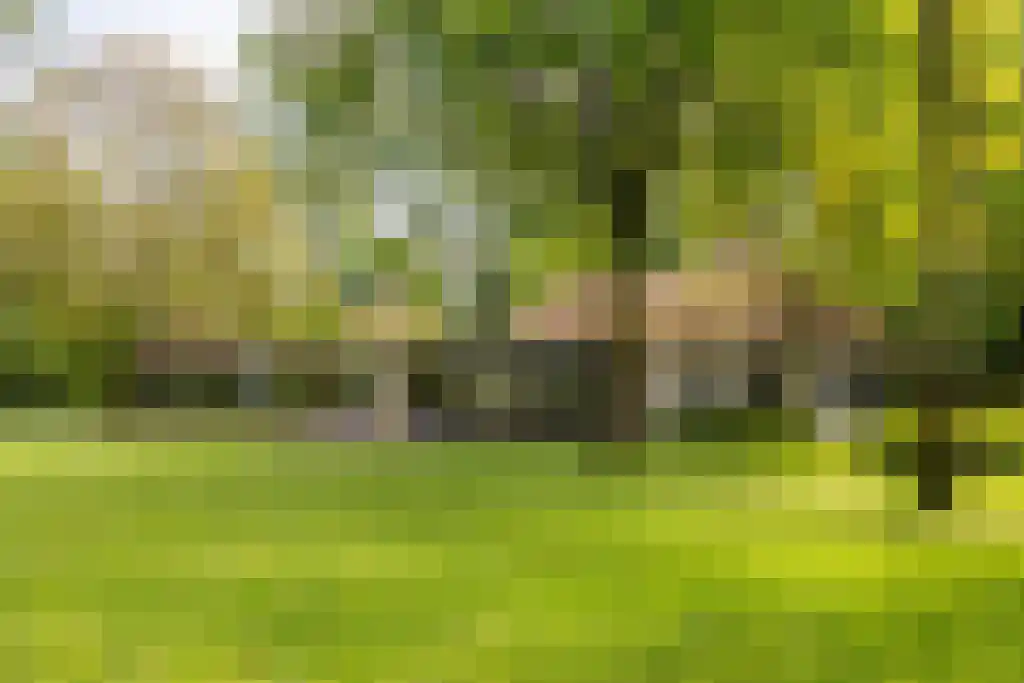 Waaijenbergstraat 5 Zundert thumbnail 30