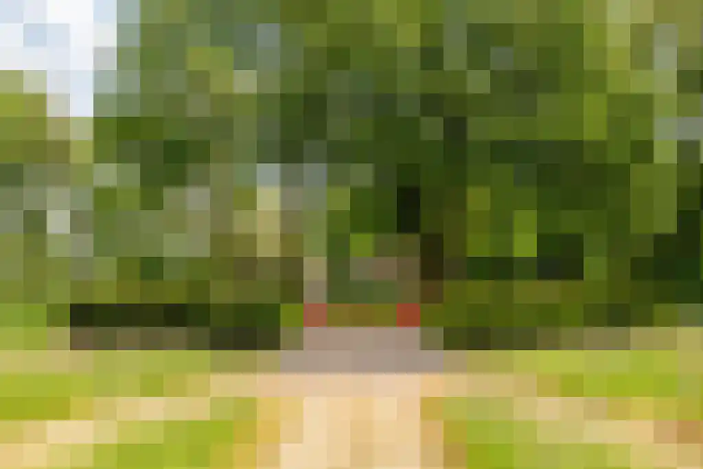 Waaijenbergstraat 5 Zundert thumbnail 32