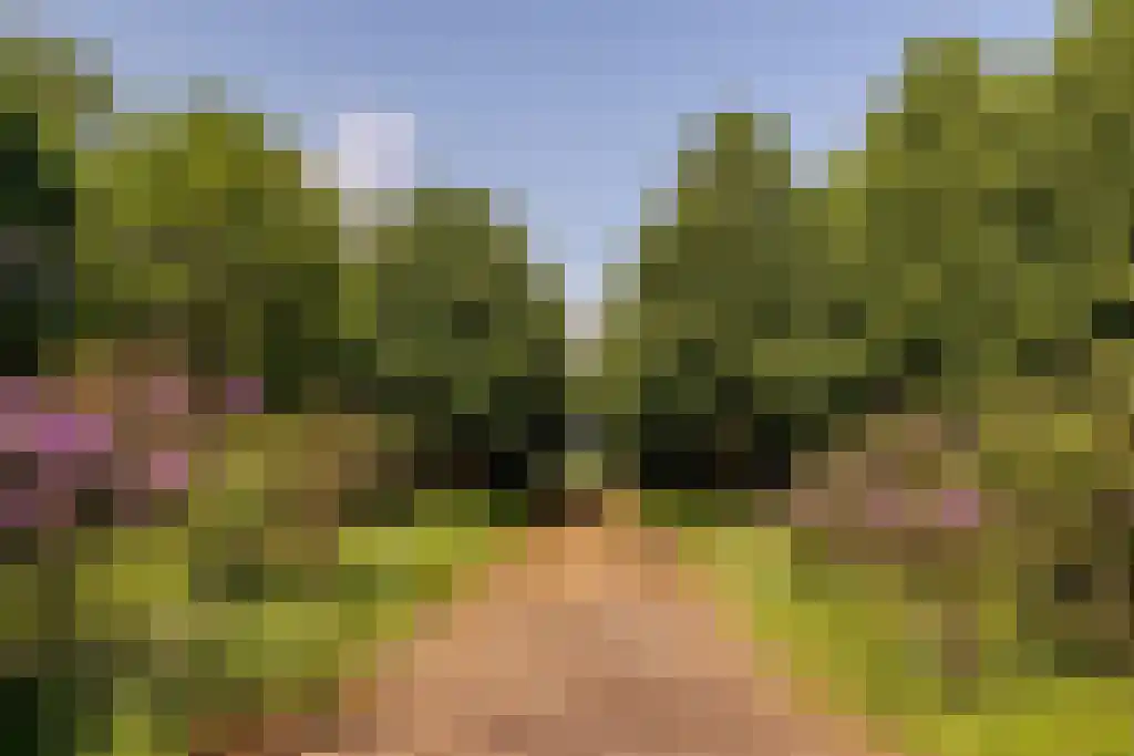 Waaijenbergstraat 5 Zundert thumbnail 36