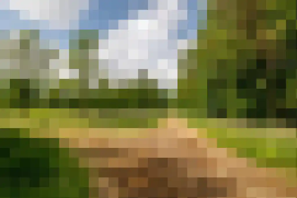 Waaijenbergstraat 5 Zundert thumbnail 37