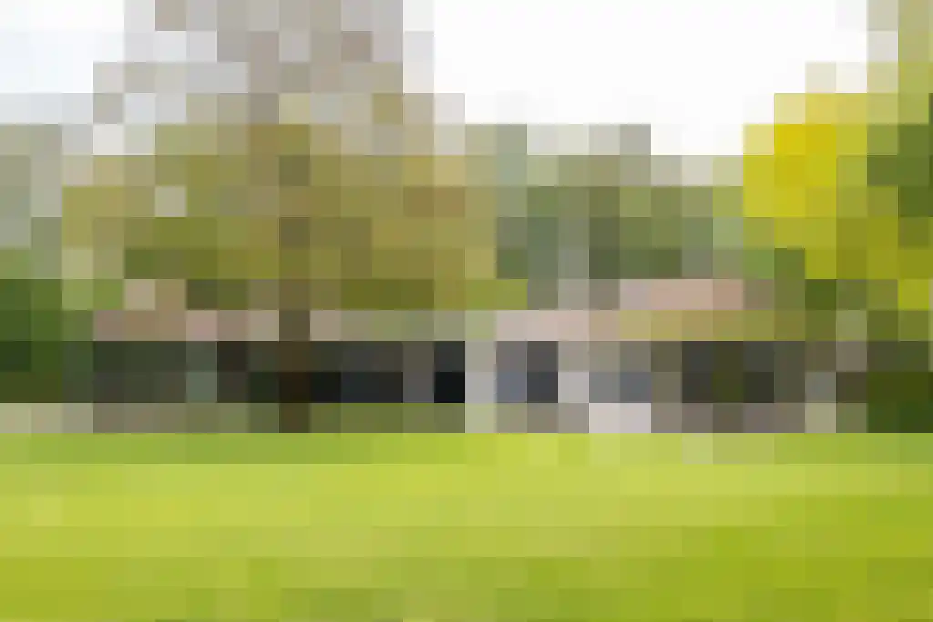 Waaijenbergstraat 5 Zundert thumbnail 4