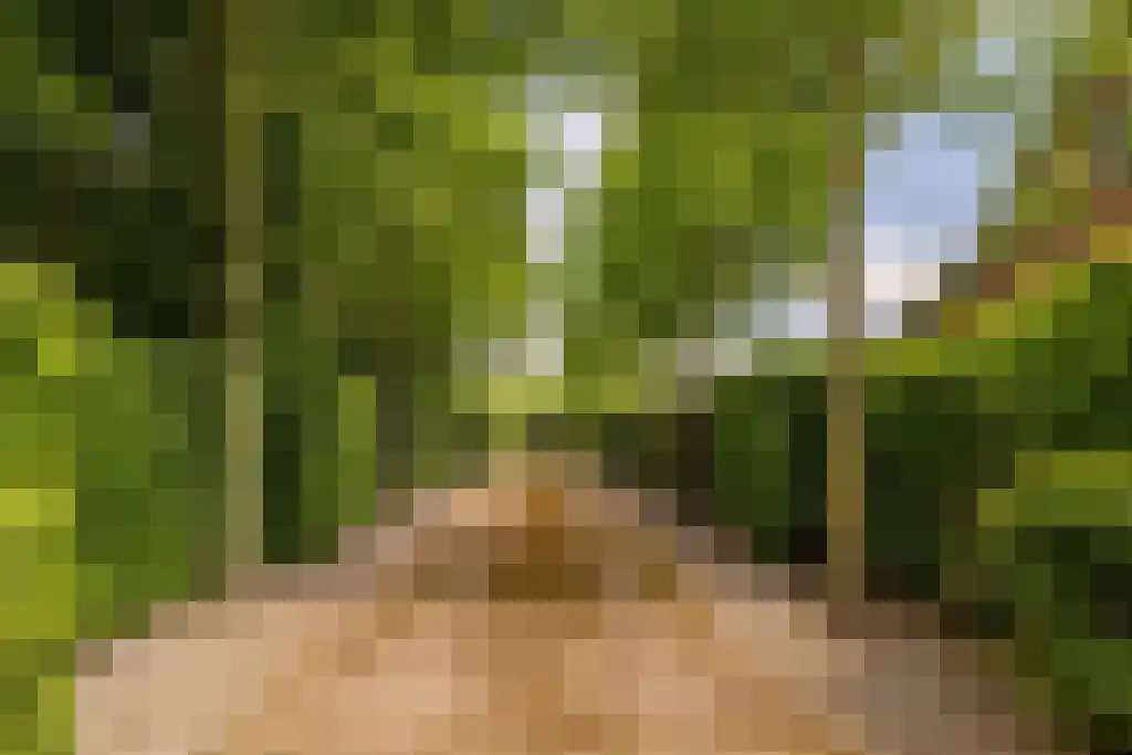 Waaijenbergstraat 5 Zundert thumbnail 40