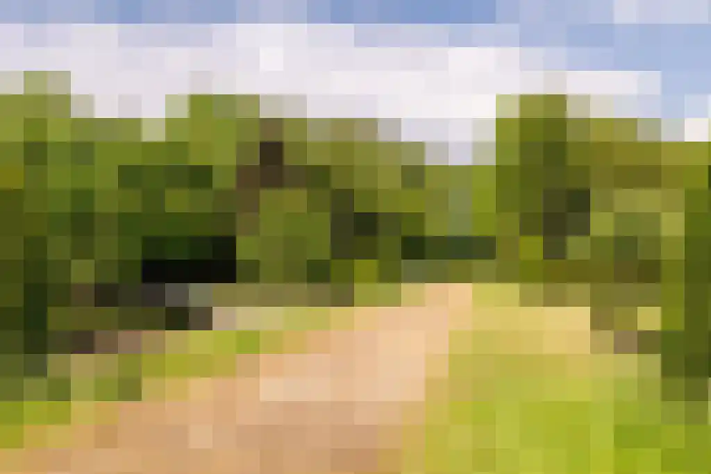 Waaijenbergstraat 5 Zundert thumbnail 43
