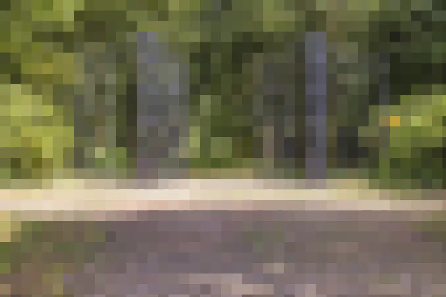 Waaijenbergstraat 5 Zundert thumbnail 44