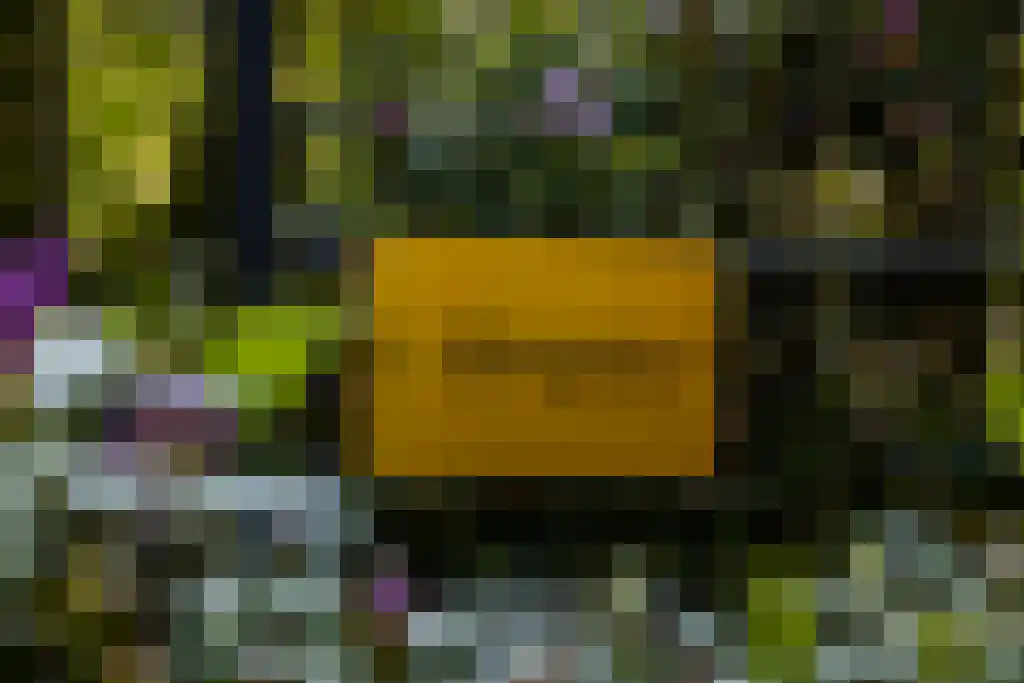 Waaijenbergstraat 5 Zundert thumbnail 45
