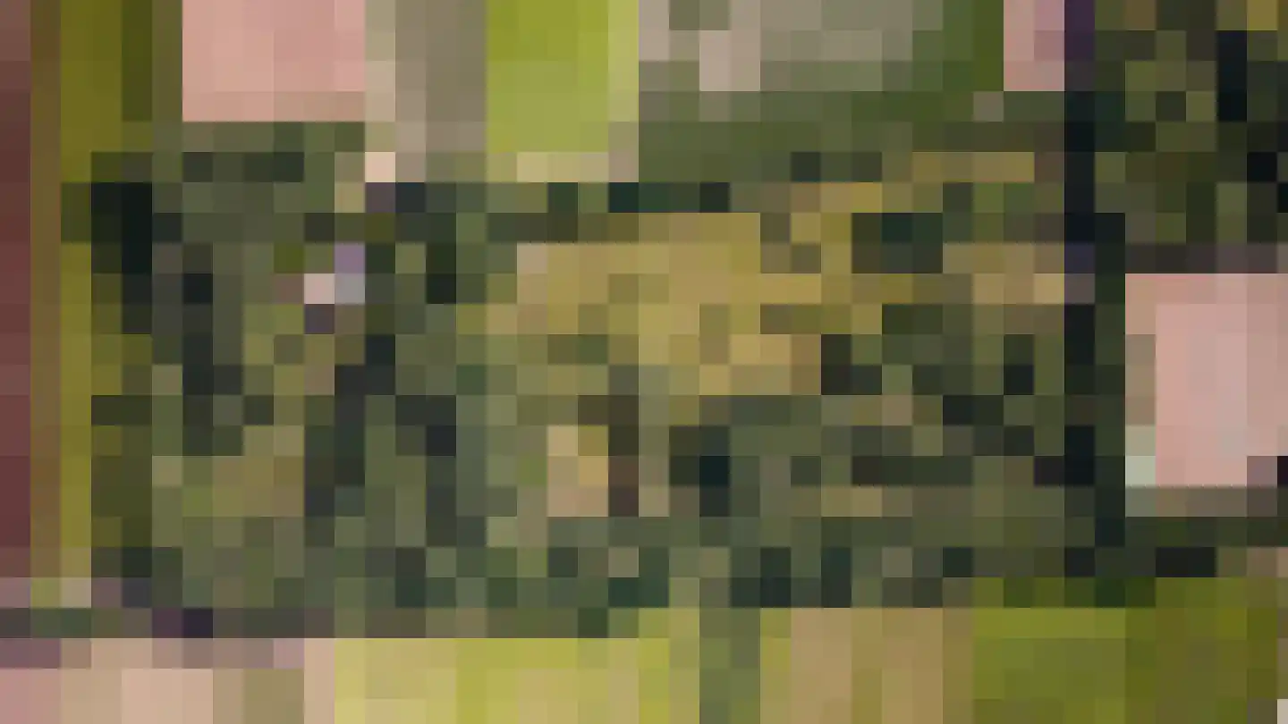 Waaijenbergstraat 5 Zundert thumbnail 48