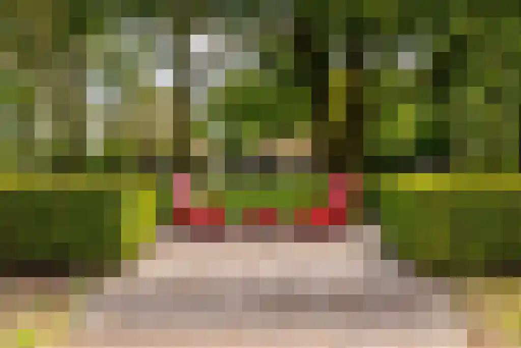 Waaijenbergstraat 5 Zundert thumbnail 5