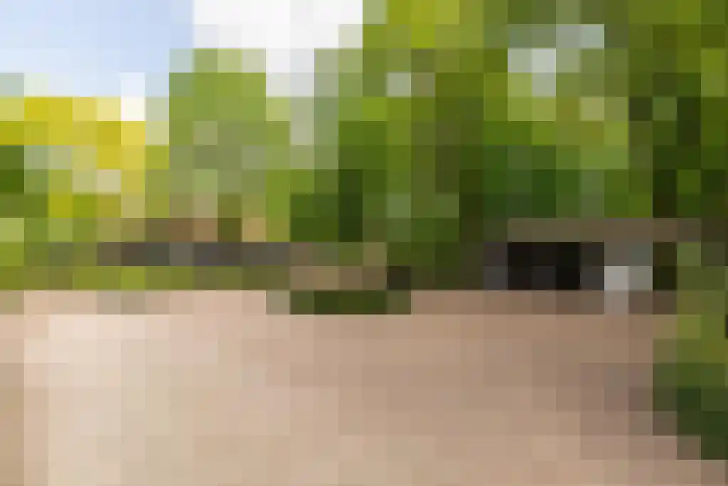 Waaijenbergstraat 5 Zundert thumbnail 8