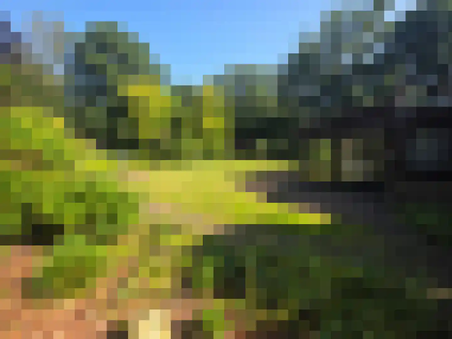 Waaijenburg 4 Ruurlo thumbnail 11