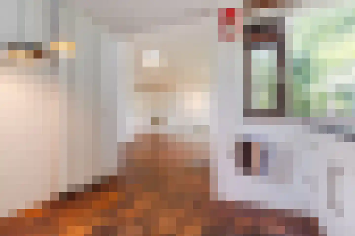 Waaijenburg 4 Ruurlo thumbnail 16