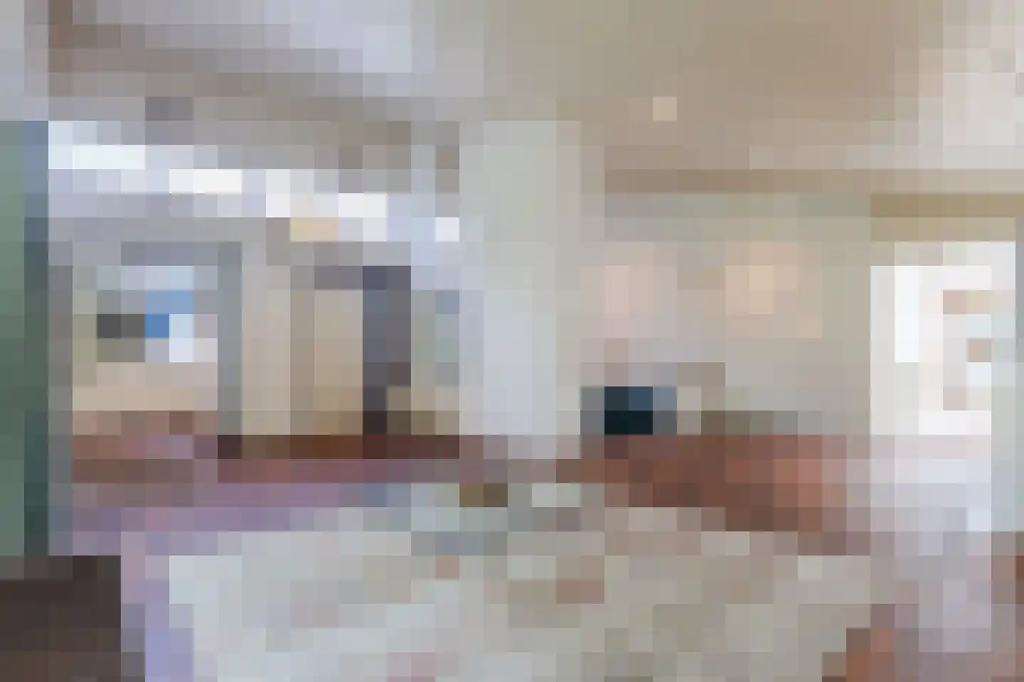 Waaijenburg 4 Ruurlo thumbnail 17