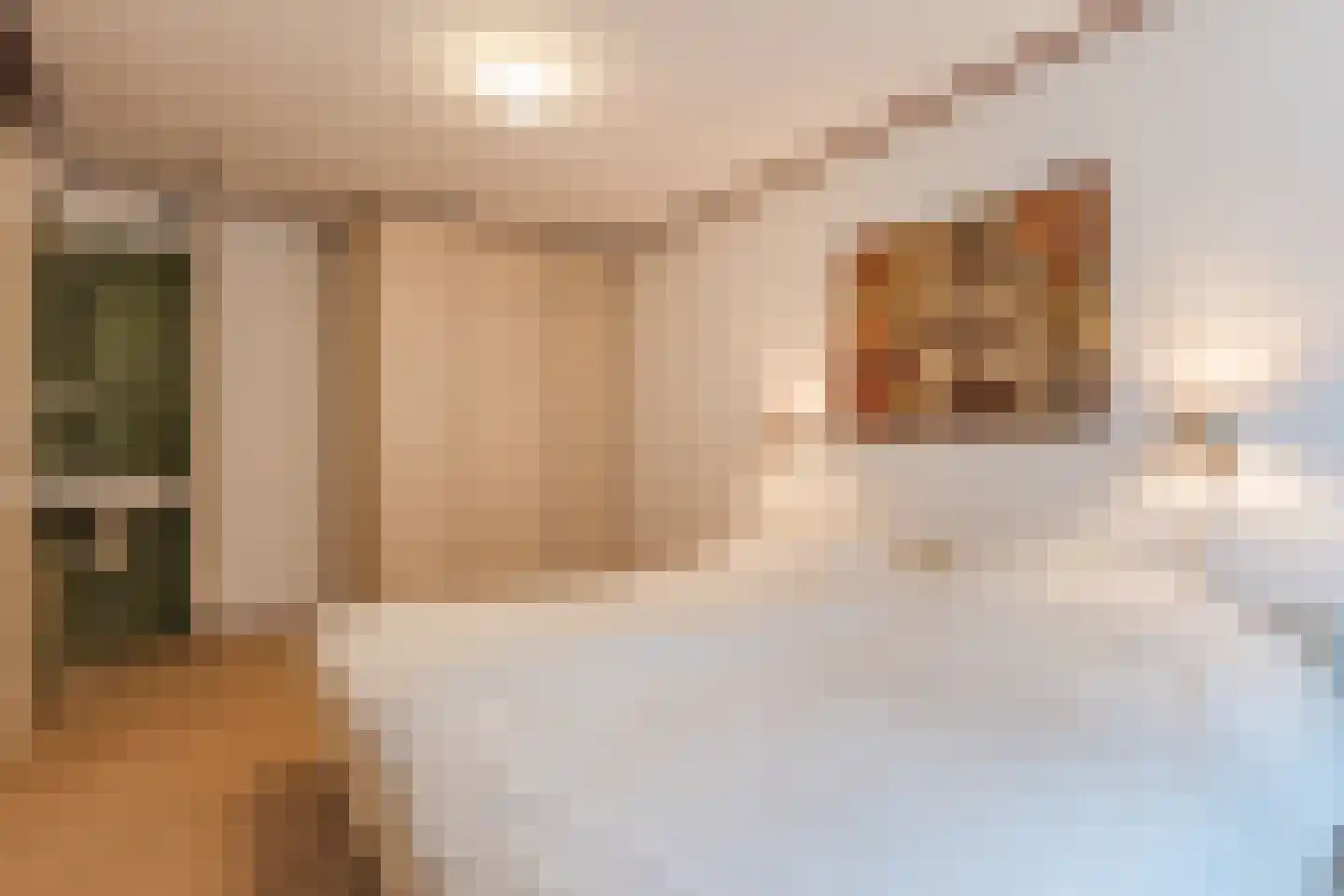 Waaijenburg 4 Ruurlo thumbnail 40