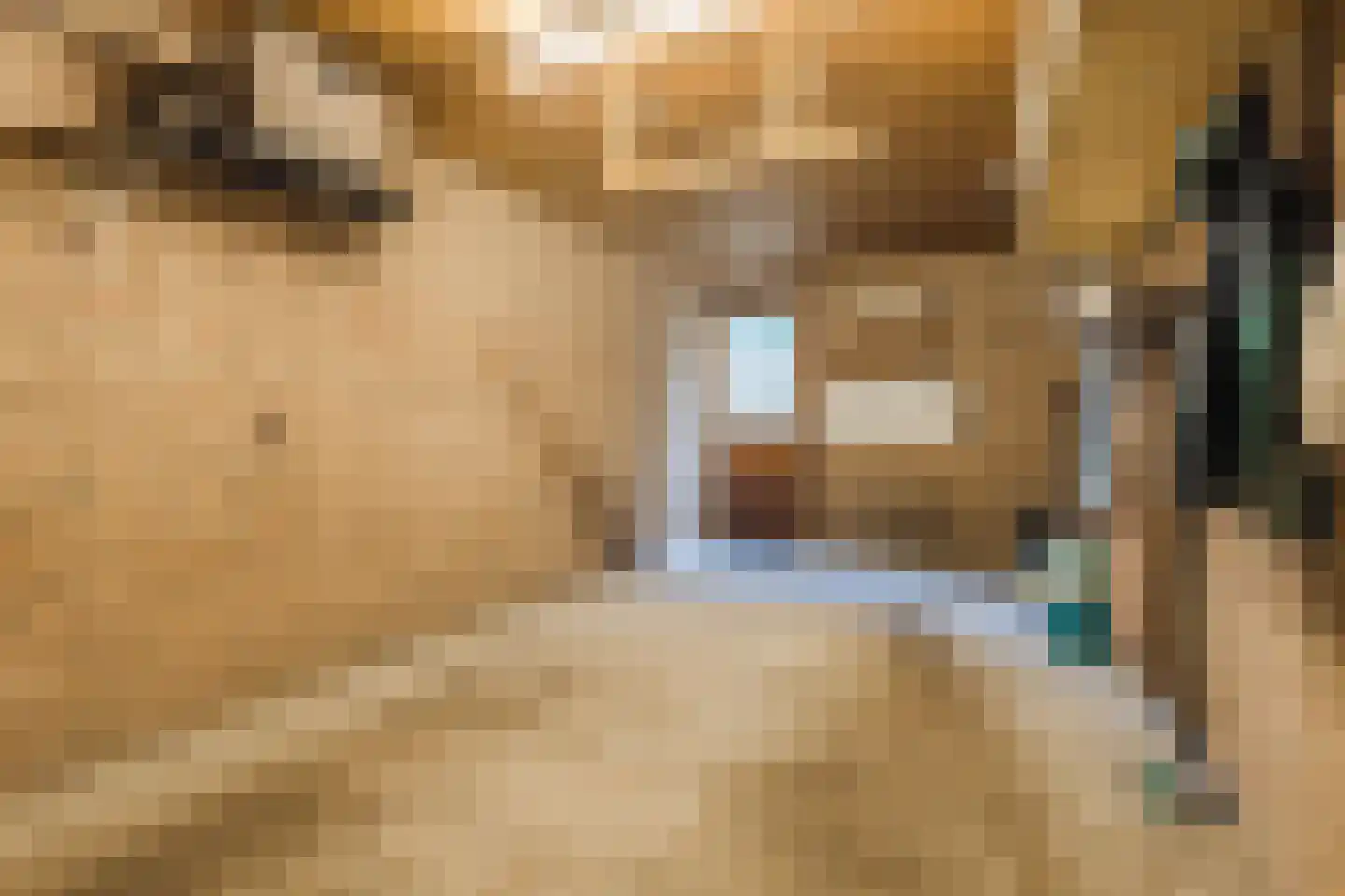 Waaijenburg 4 Ruurlo thumbnail 49