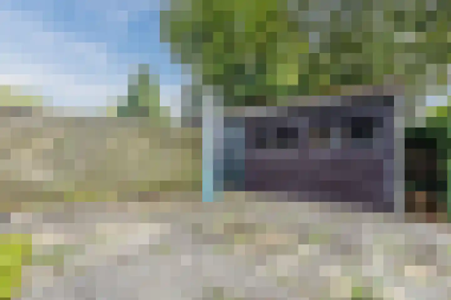 Waaijenburg 4 Ruurlo thumbnail 51