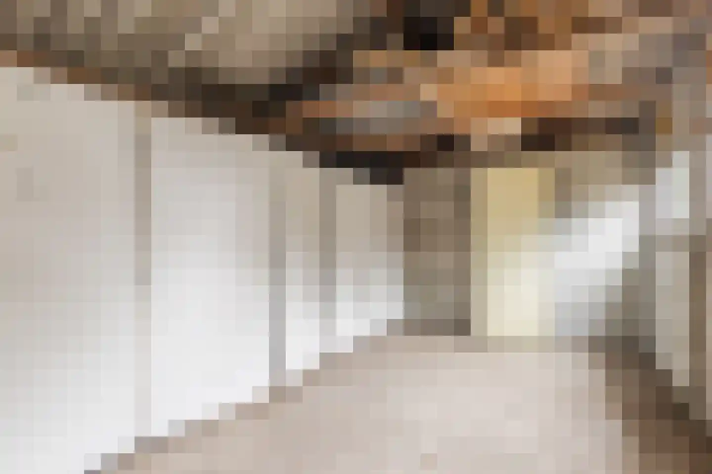 Waaijenburg 4 Ruurlo thumbnail 52