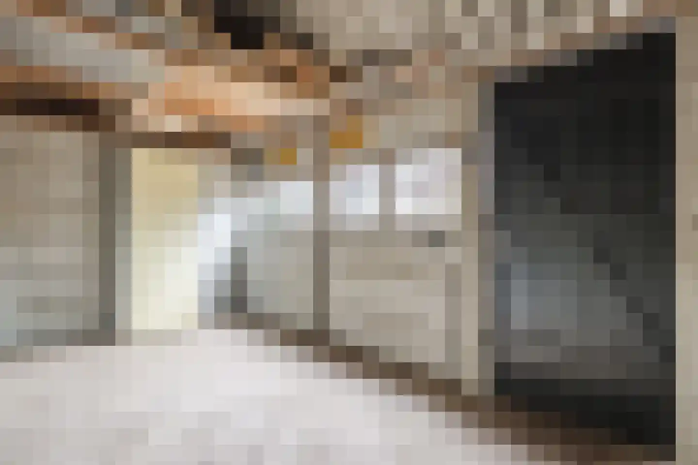 Waaijenburg 4 Ruurlo thumbnail 53