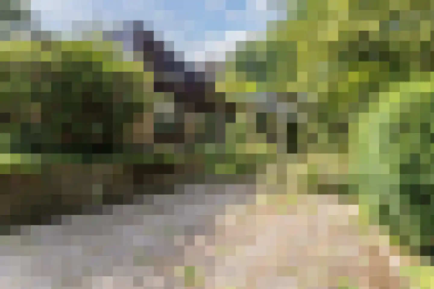 Waaijenburg 4 Ruurlo thumbnail 55
