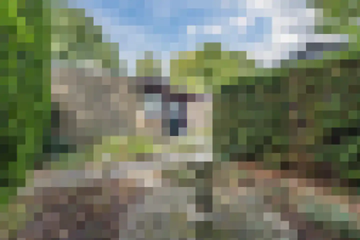 Waaijenburg 4 Ruurlo thumbnail 56
