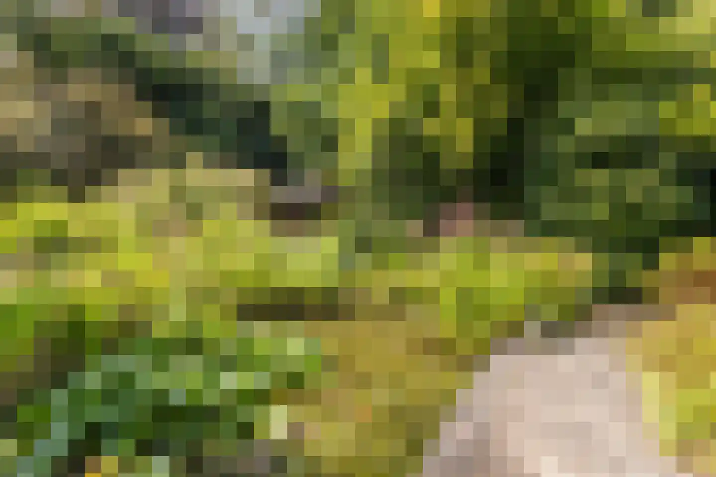 Waaijenburg 4 Ruurlo thumbnail 57